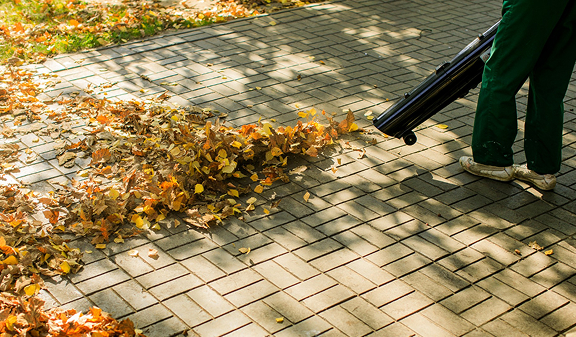 Cleaning Path